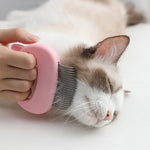 Cat Comb Massager